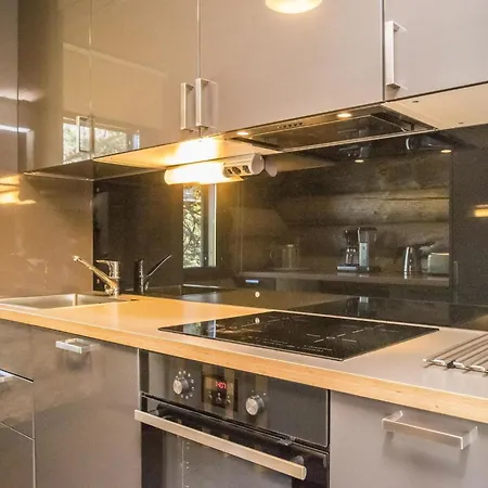 Kiehinen 1 By Interhome * Saariselkä